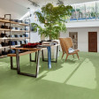 https://floorbest.ua/image/cache/catalog/product/compress/forbo/Marmoleum Vivace/main/1024x1024_Marmoleum_Fresco_3260 (1)-cr-112x112.jpg